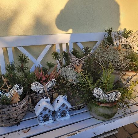 Ferienwohnung Ott Amelinghausen Zewnętrze zdjęcie