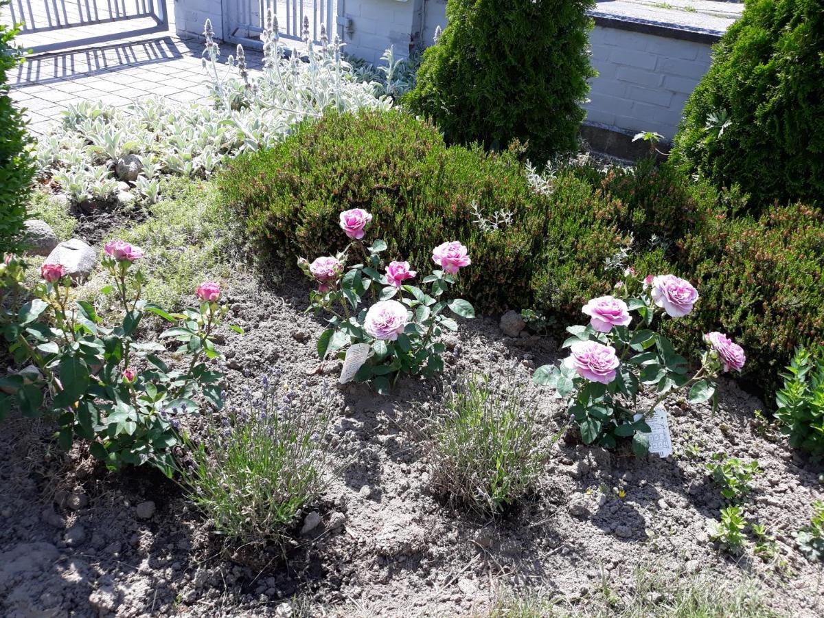 Ferienwohnung Ott Amelinghausen Zewnętrze zdjęcie