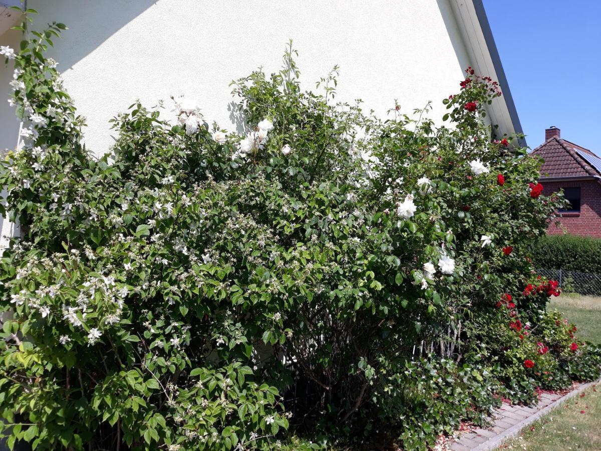 Ferienwohnung Ott Amelinghausen Zewnętrze zdjęcie