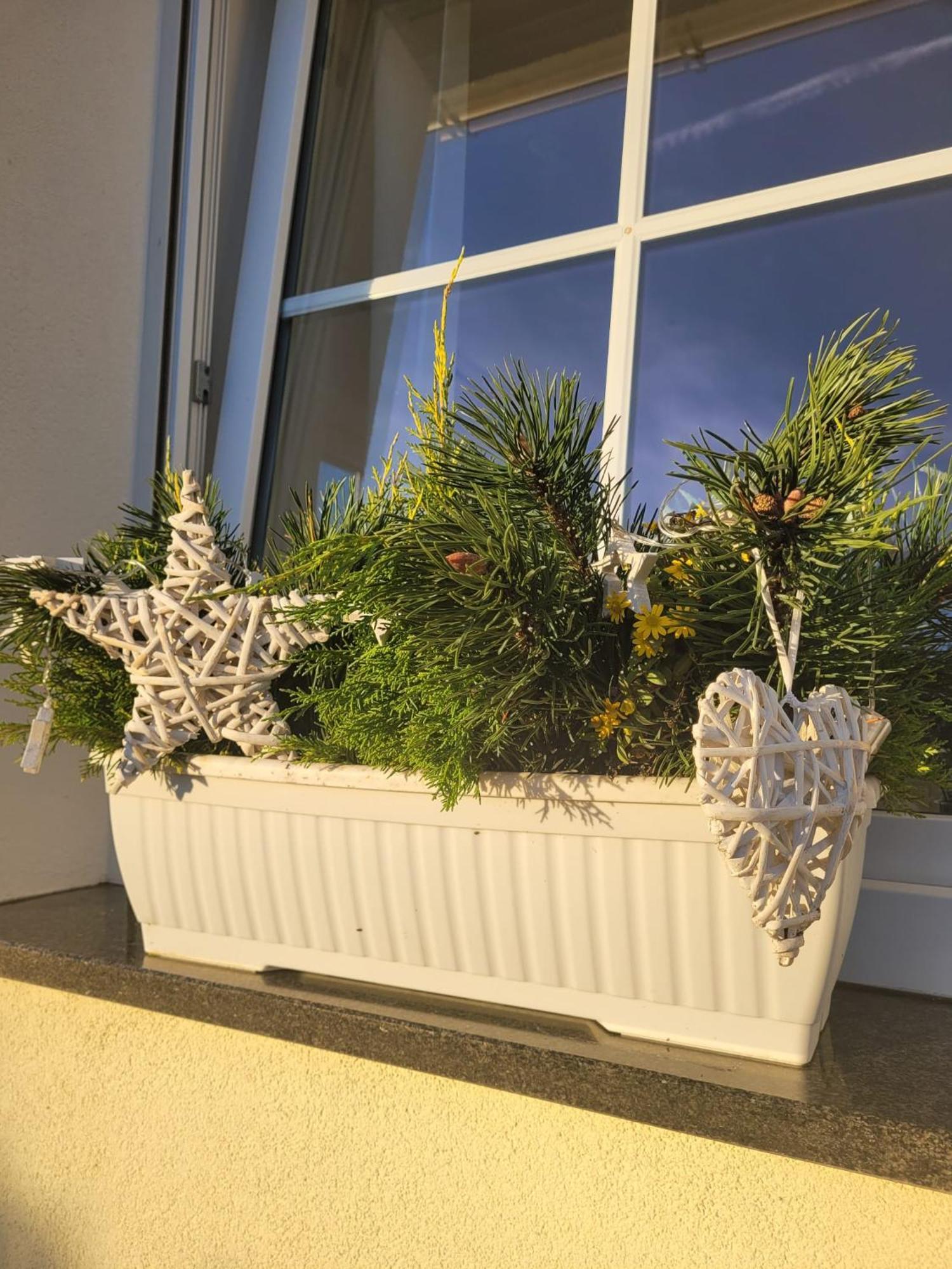 Ferienwohnung Ott Amelinghausen Zewnętrze zdjęcie